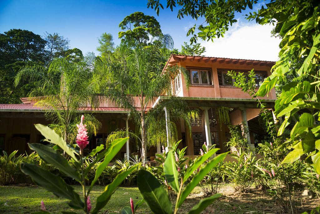 לה סייבה La Villa De Soledad מראה חיצוני תמונה